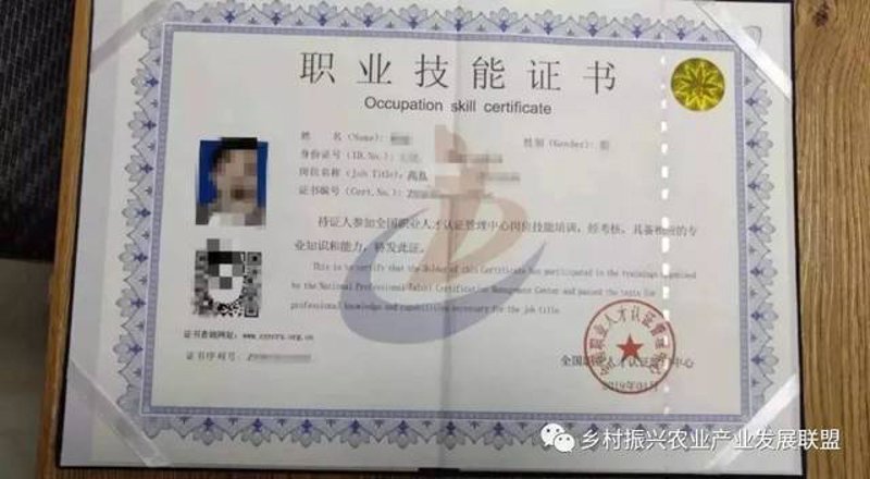 职业技能培训:点亮未来之路