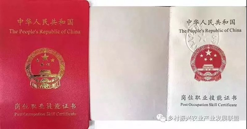 职业技能鉴定——照亮职业前程的新灯塔